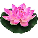 Huile Essentielle Fleur de Lotus